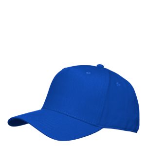 PLAYER lippalakki royal